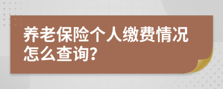 养老保险个人缴费情况怎么查询？