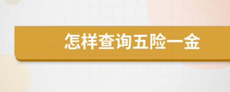 怎样查询五险一金