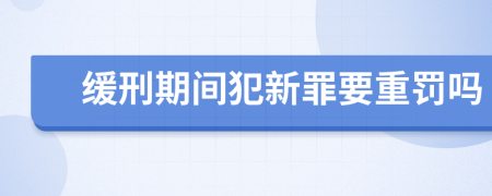 缓刑期间犯新罪要重罚吗