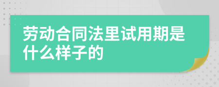 劳动合同法里试用期是什么样子的