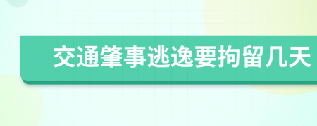 交通肇事逃逸要拘留几天