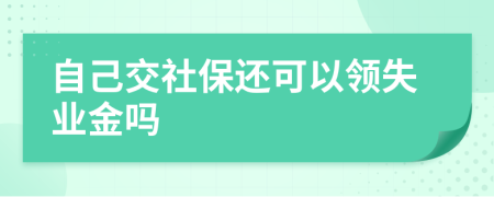 自己交社保还可以领失业金吗