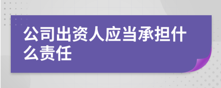 公司出资人应当承担什么责任