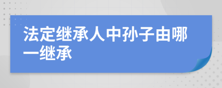 法定继承人中孙子由哪一继承