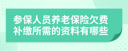 参保人员养老保险欠费补缴所需的资料有哪些