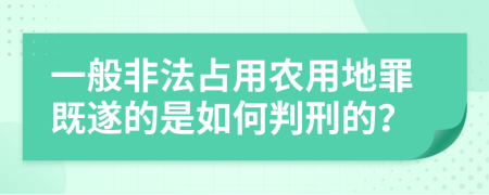 一般非法占用农用地罪既遂的是如何判刑的？