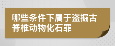 哪些条件下属于盗掘古脊椎动物化石罪