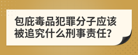 包庇毒品犯罪分子应该被追究什么刑事责任？