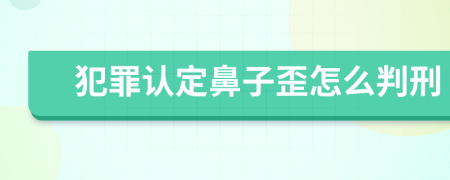 犯罪认定鼻子歪怎么判刑