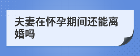 夫妻在怀孕期间还能离婚吗