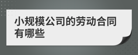 小规模公司的劳动合同有哪些