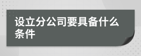 设立分公司要具备什么条件