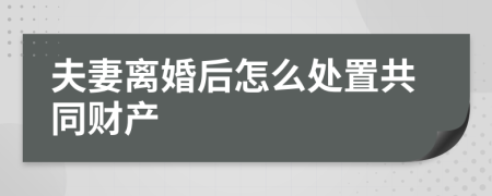 夫妻离婚后怎么处置共同财产