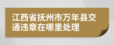 江西省抚州市万年县交通违章在哪里处理