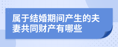 属于结婚期间产生的夫妻共同财产有哪些