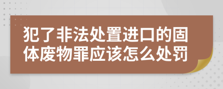 犯了非法处置进口的固体废物罪应该怎么处罚