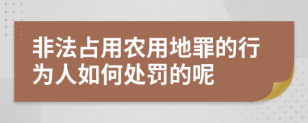 非法占用农用地罪的行为人如何处罚的呢