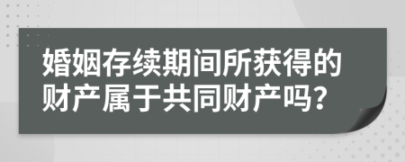 婚姻存续期间所获得的财产属于共同财产吗？