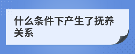 什么条件下产生了抚养关系