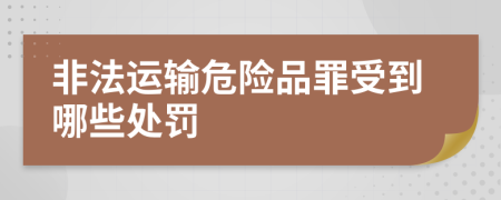 非法运输危险品罪受到哪些处罚