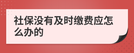 社保没有及时缴费应怎么办的