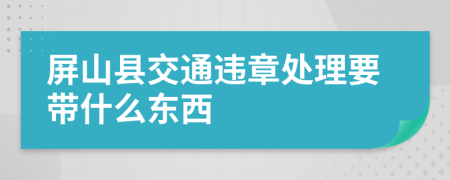 屏山县交通违章处理要带什么东西