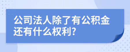 公司法人除了有公积金还有什么权利?