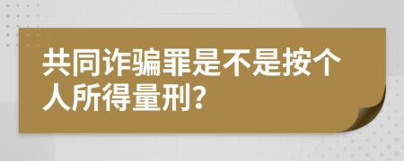 共同诈骗罪是不是按个人所得量刑？