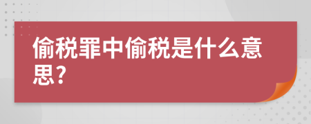 偷税罪中偷税是什么意思?