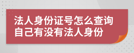 法人身份证号怎么查询自己有没有法人身份