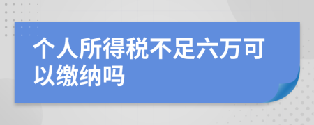 个人所得税不足六万可以缴纳吗