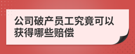 公司破产员工究竟可以获得哪些赔偿