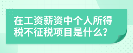 在工资薪资中个人所得税不征税项目是什么？