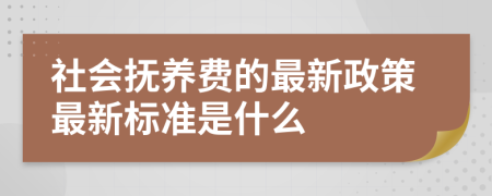 社会抚养费的最新政策最新标准是什么