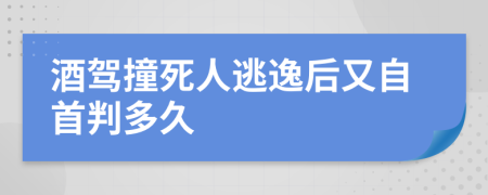 酒驾撞死人逃逸后又自首判多久