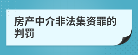 房产中介非法集资罪的判罚