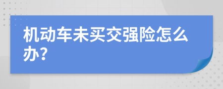 机动车未买交强险怎么办？