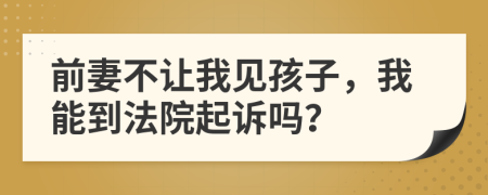 前妻不让我见孩子，我能到法院起诉吗？