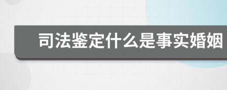 司法鉴定什么是事实婚姻