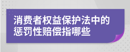 消费者权益保护法中的惩罚性赔偿指哪些