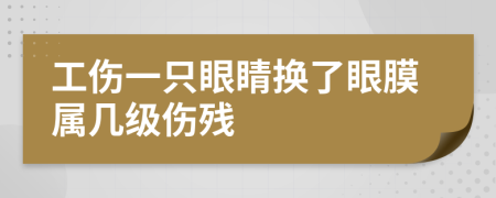 工伤一只眼睛换了眼膜属几级伤残