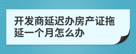 开发商延迟办房产证拖延一个月怎么办