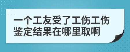 一个工友受了工伤工伤鉴定结果在哪里取啊