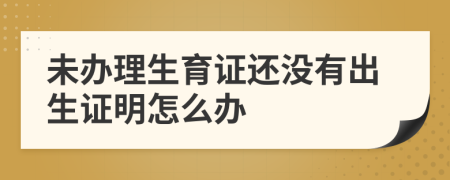 未办理生育证还没有出生证明怎么办