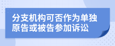 分支机构可否作为单独原告或被告参加诉讼