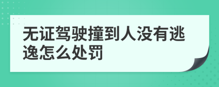 无证驾驶撞到人没有逃逸怎么处罚