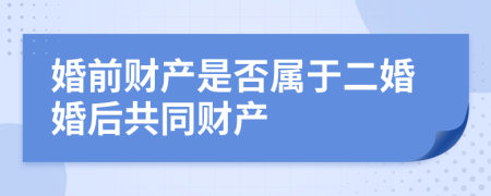 婚前财产是否属于二婚婚后共同财产