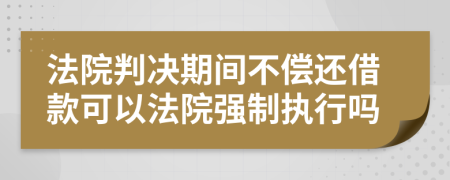 法院判决期间不偿还借款可以法院强制执行吗