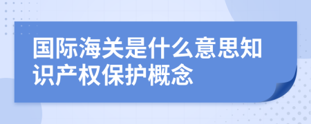 国际海关是什么意思知识产权保护概念