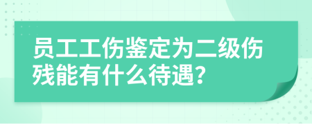 员工工伤鉴定为二级伤残能有什么待遇？